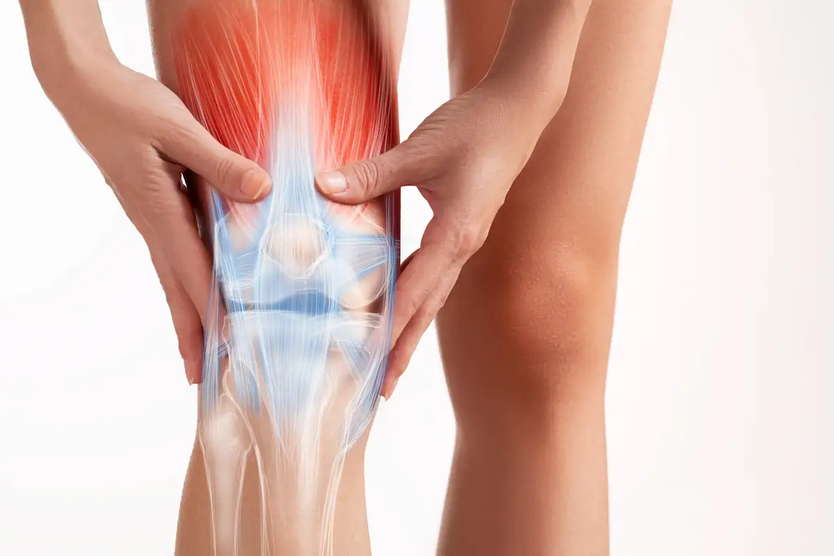 Knee Joint Pain  Treatment From Chiropractor